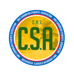 DMVCSA Inc Logo